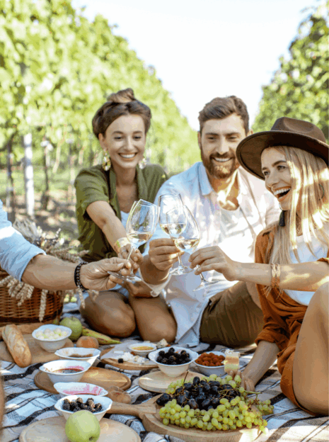 Excursions oenologiques VIP en Bourgogne avec un des meilleurs chef sommelier au Monde