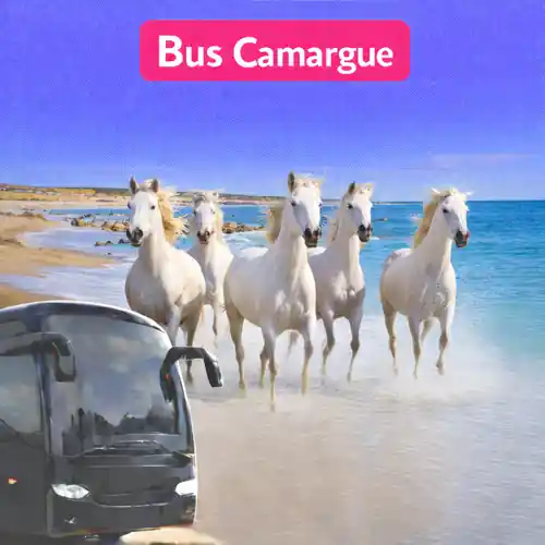 camargue-500×500-ultra