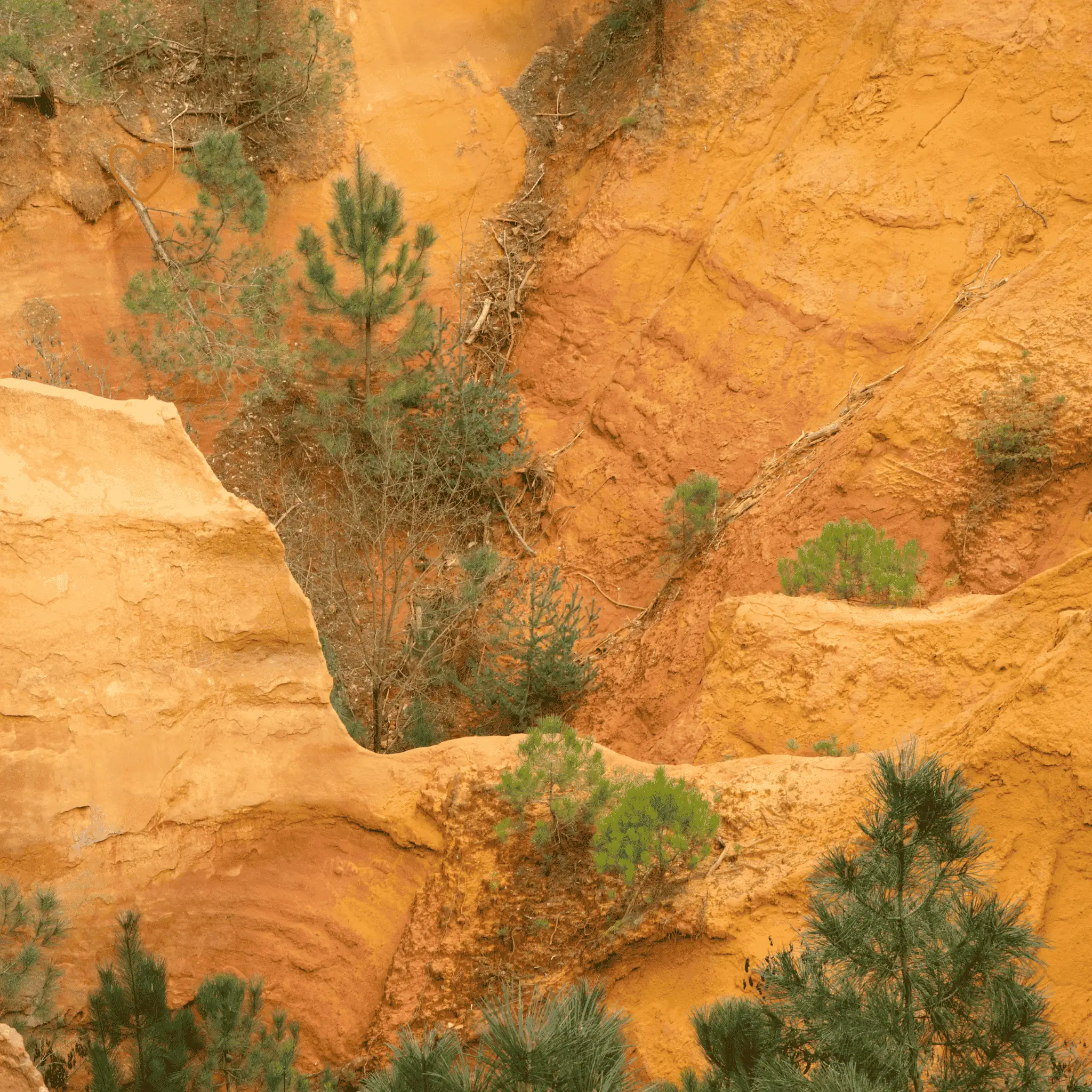 Gordes & Roussillon – Sortie Luberon depuis Toulon, Hyères & Var