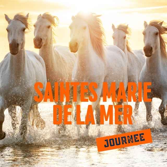 Sortie aux Saintes-Maries-de-la-Mer – Journée en Camargue depuis Toulon et Hyères