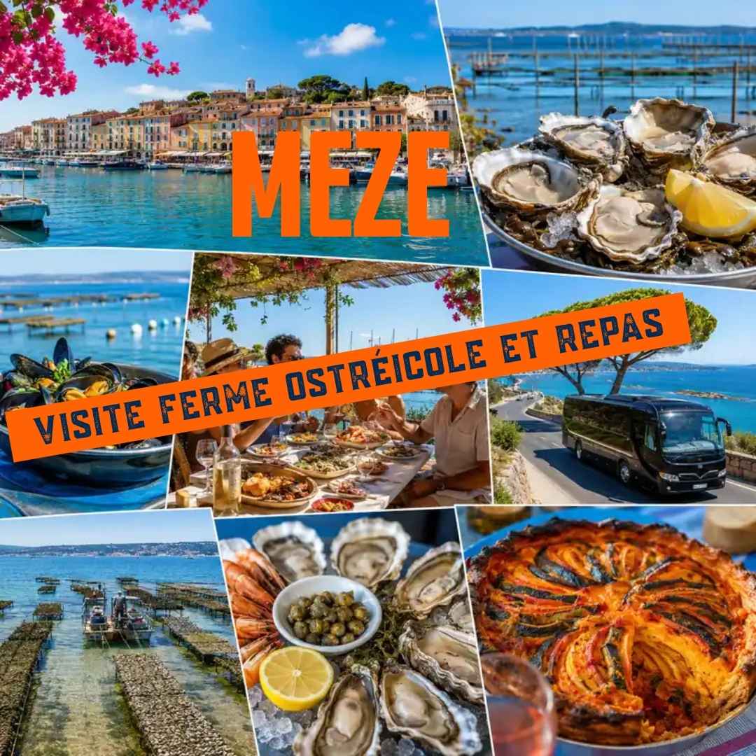 Sortie ferme ostréicole à Mèze avec repas huîtres et fruits de mer depuis Toulon et Hyères